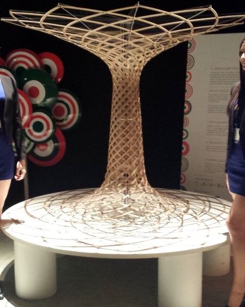expo